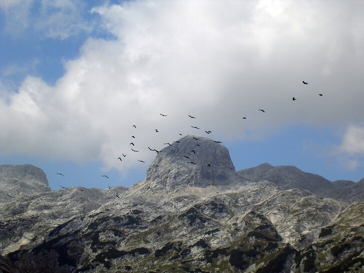 Triglav-Julische Alpen.jpg