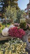 HOME-AND-GARDEN-Salem-2.jpg
