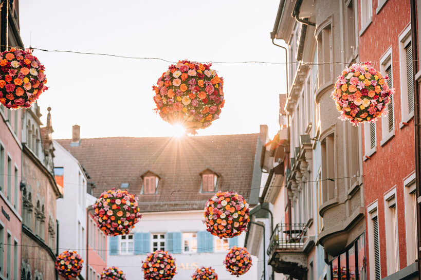 konstanz-altstadt-flowerball-kanzleistrasse-sonne-04-copyright-mtk-leo-leister.jpg