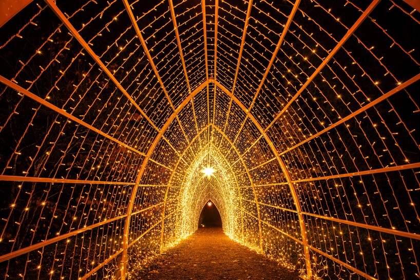 Christmas Garden Insel Mainau 2023_Kathedrale des Lichts©Christmas Garden_Rainer Keuenhof.jpg