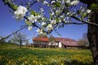 Hof-Neuhaus-süd.jpg