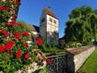 Insel Reichenau_Münster_Foto Irina Drewniok.jpg