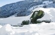 20190117_SKW_Schneefeatures_Riese_1_cSwarovski_Kristallwelten.jpg