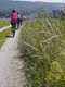 IMG-20250613-WA0044.jpg