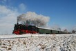 Winterdampffahrt ©G. Baum.jpg