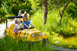 Legoland5.jpg