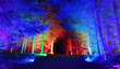 Winterleuchten_Lichterwald2.jpg