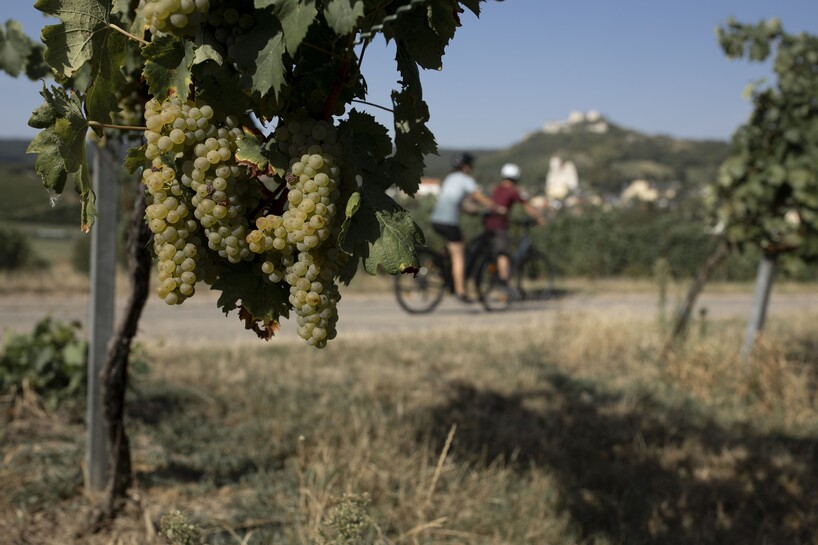 Falkenstein_Burgruine_Radfahren(c)WTG_Fruehmann (2).jpg.jpg Falkenstein_Burgruine_Radfahren(c)WTG_Fruehmann (2).jpg.jpg