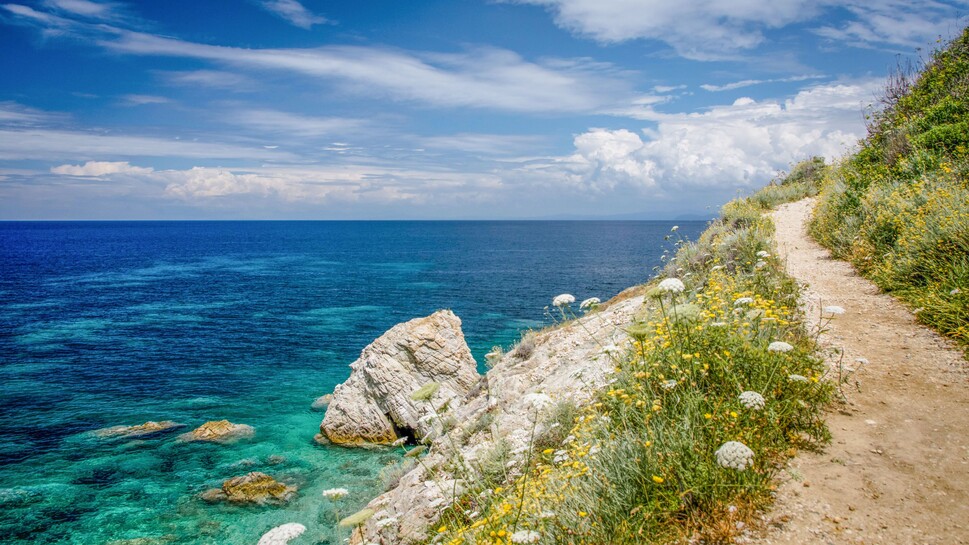 2215640.jpg 2215640.jpg