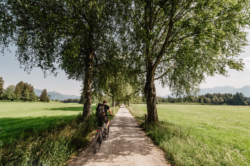 erlebe.bayern - Thomas Linkel.jpg