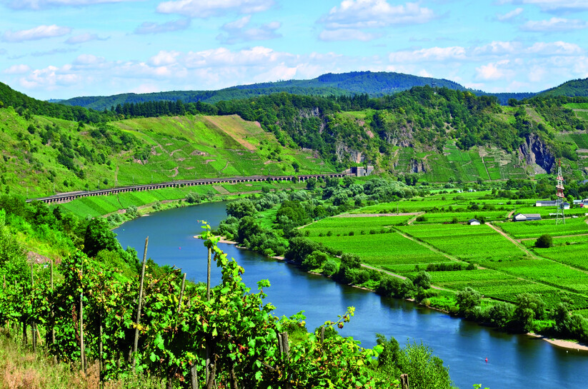 sh_germany_mosel region klein.jpg