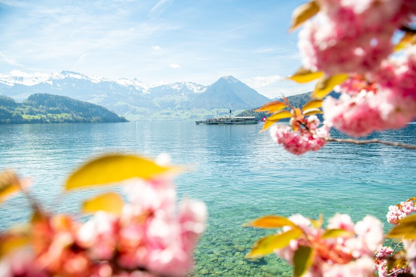 220422_DS Uri_Frühling_RG87195 - Kopie.jpg