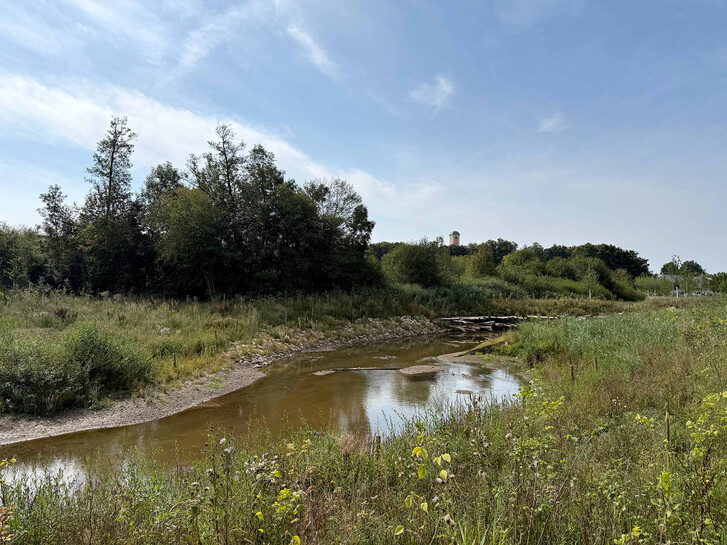 © Landesgartenschau Ellwangen 2026 GmbH (8).jpg