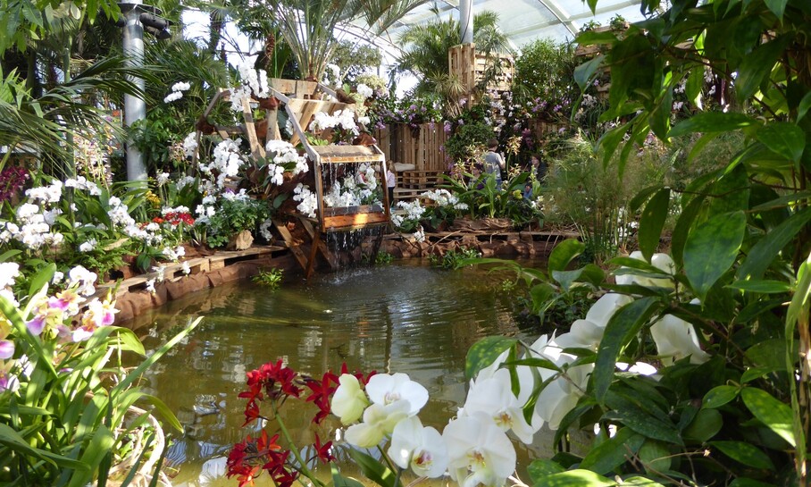 © Insel Mainau _ Marketing (1).jpg