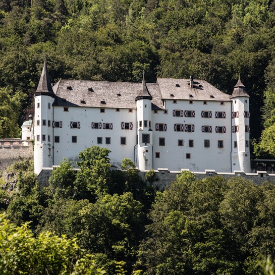 Schloss-Tratzberg-von-aussen2_Fotor-scaled.jpg