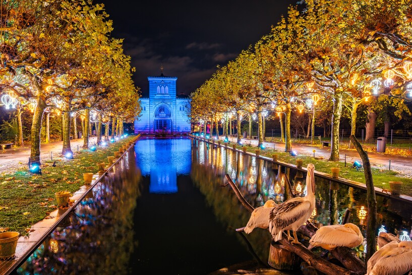 Christmas Garden Stuttgart 2025_Damaszenerhalle©Christmas Garden_Michael Clemens.jpg Christmas Garden Stuttgart 2025_Damaszenerhalle©Christmas Garden_Michael Clemens.jpg