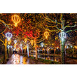 Christmas Garden Stuttgart 2025_Schwerelos©Christmas Garden_Michael Clemens.jpg Christmas Garden Stuttgart 2025_Schwerelos©Christmas Garden_Michael Clemens.jpg