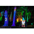 Christmas Garden Stuttgart 2025_Zauberwald©Christmas Garden_Michael Clemens.jpg Christmas Garden Stuttgart 2025_Zauberwald©Christmas Garden_Michael Clemens.jpg