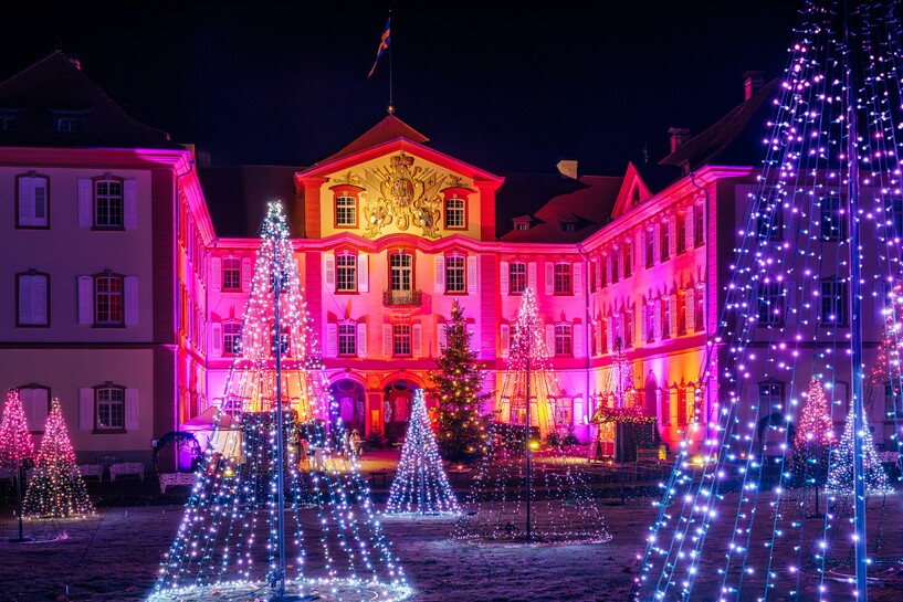 Christmas Garden Insel Mainau 2025_Funkelnder Lichterwald©Christmas Garden_Michael Clemens.jpg