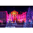 Christmas Garden Insel Mainau 2025_Funkelnder Lichterwald©Christmas Garden_Michael Clemens.jpg