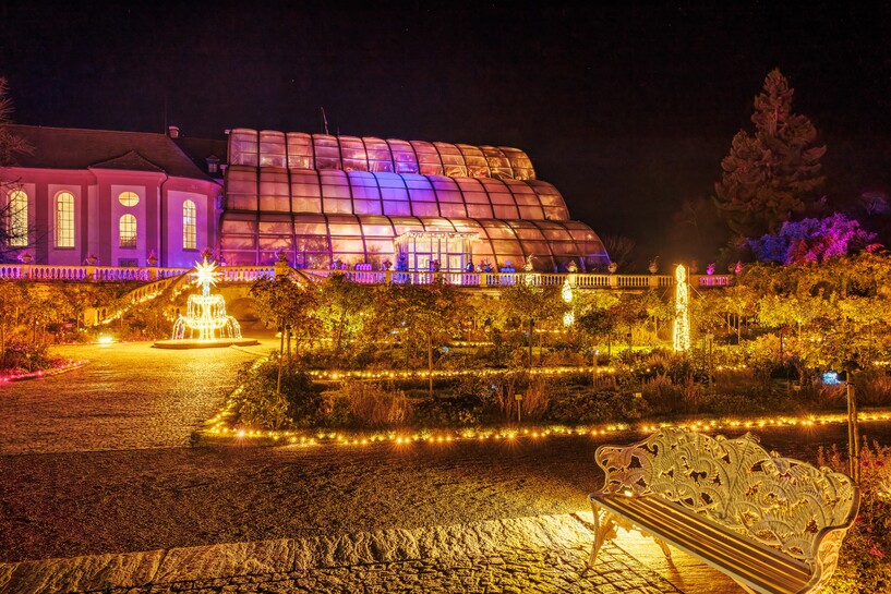 Christmas Garden Insel Mainau 2025_Rosengarten©Christmas Garden_Michael Clemens.jpg