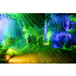 christmas-garden-insel-mainau-2024©Christmas Garden_Rainer Keuenhof (28)-print.jpg