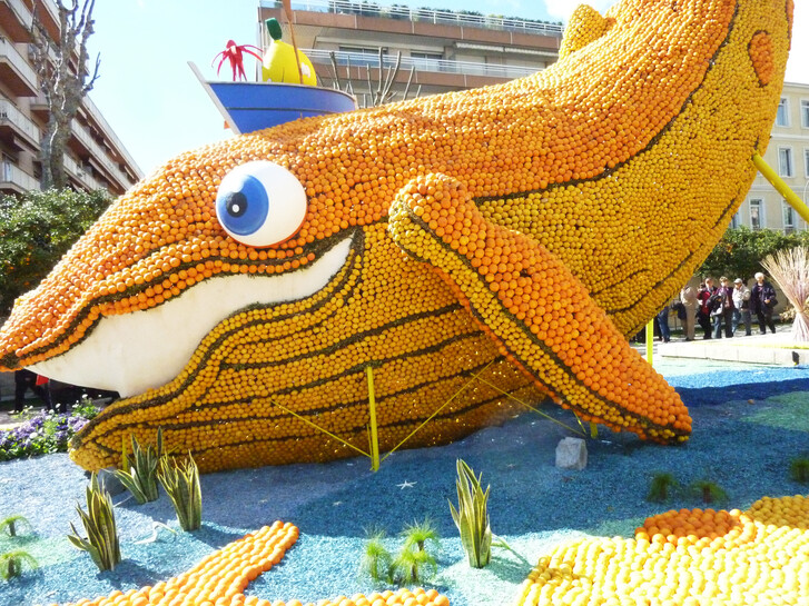 image_2096777.jpg image_2096777.jpg