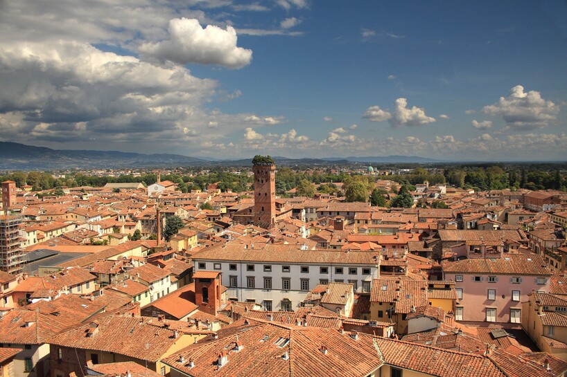 conolan-lucca-4521699.jpg