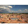conolan-lucca-4521699.jpg