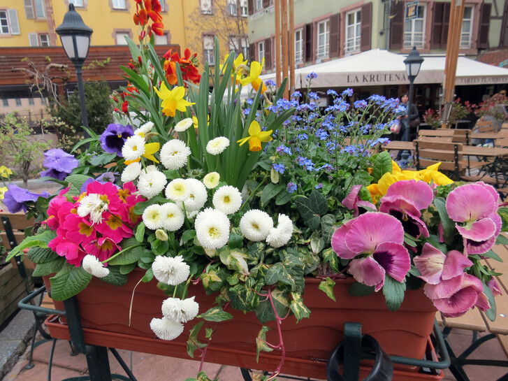 image_2128170.jpg