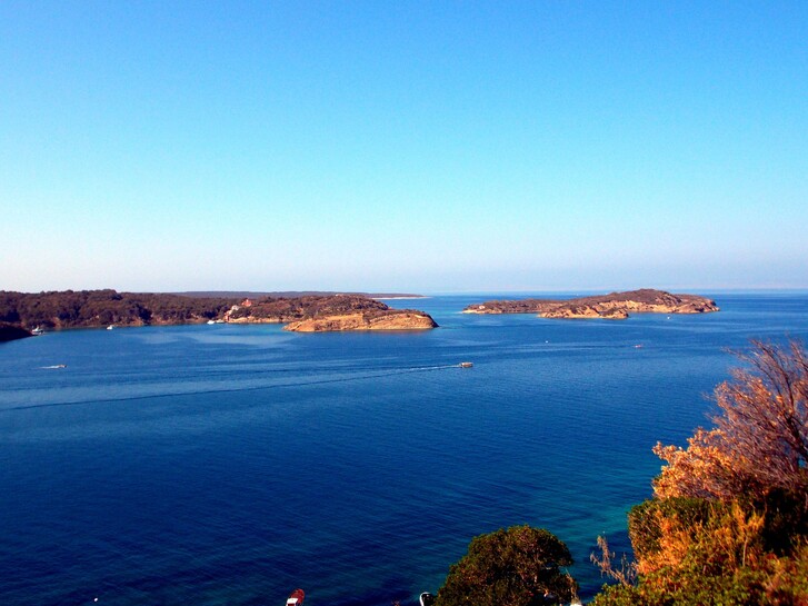 image_2110603.jpg