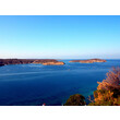 image_2110603.jpg
