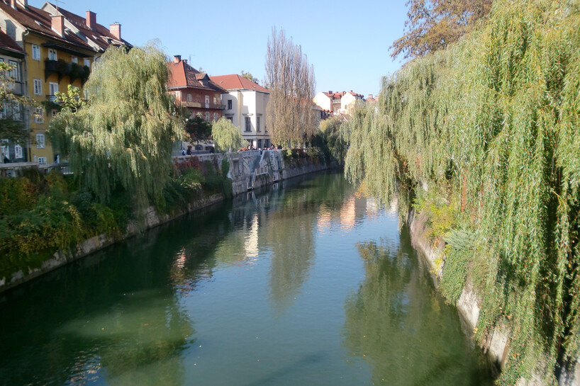 image_2023509.jpg